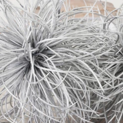 Metallic Sphere -VibeDecor Store webimage 209209486 dtl