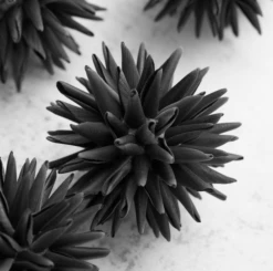 Faux Allium Sphere - Set Of 9 -VibeDecor Store webimage 209356924 2 jpg