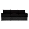 Emilia Ebony Sofa - Black -VibeDecor Store webimage 605302013 SIL