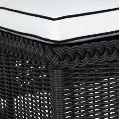 Emilia Ebony Chaise - White/Black -VibeDecor Store webimage 605771859 DTL