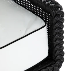 Emilia Ebony Lounge Chair - White/Black -VibeDecor Store webimage 605808992 DTL1