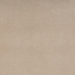 Velvet Tassle Lumbar Pillow - Light Beige -VibeDecor Store webimage 620721131 DTL1