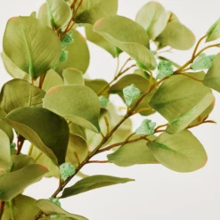 Eucalyptus Spray - Set Of 3 -VibeDecor Store webimage 999172481 dtl