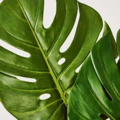 Faux Small Split Philo Leaf - Set Of 3 -VibeDecor Store webimage 999904554 dtl